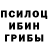 Псилоцибиновые грибы Cubensis Youssef Land