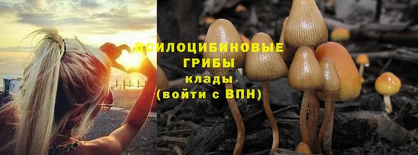 мескалин Абинск