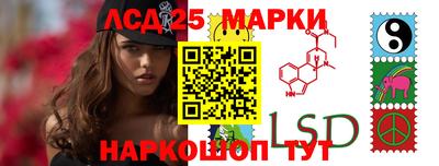 прущие грибы Пушкино