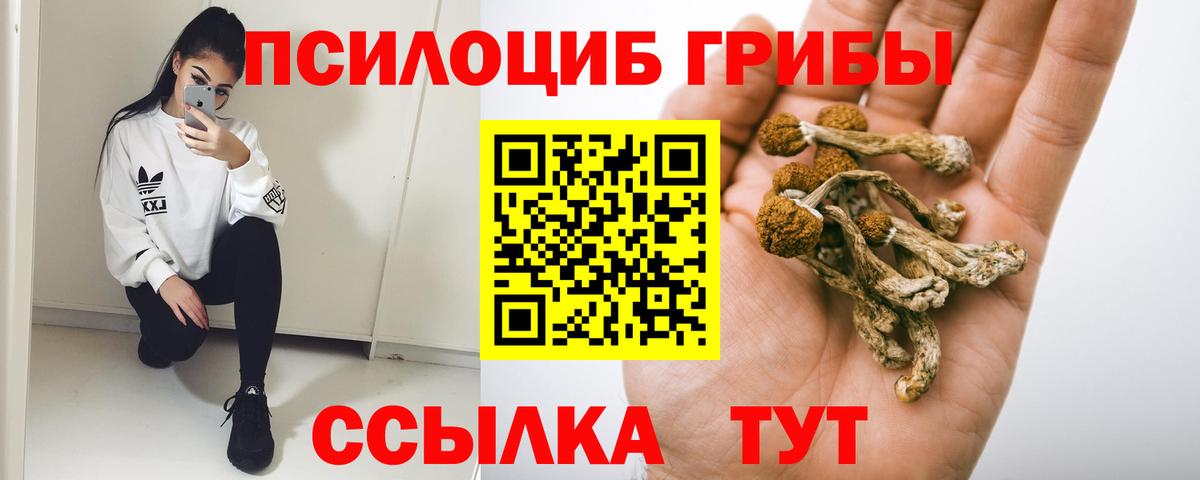 Псилоцибиновые грибы Psilocybe  Вход с VPN  Людиново 